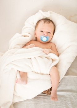 Cute baby boy with soother lying in wicker basket