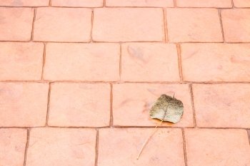 Bodhi or pho leaf dry on brick floor, stock photo