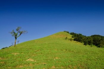 green hill with blue sky
