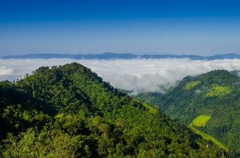 Stunning aerial view of spectacular jungles