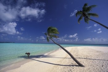 a beach with the seascape of the island and atoll of the Maldives Islands in the indian ocean.. ASIA INDIAN OCEAN MALDIVES SEASCAPE BEACH