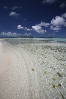 a beach at the village on the Gran Roque Island at the Los Roques Islands in the caribbean sea of Venezuela.. SOUTH AMERICA VENEZUELA LOS ROQUES ISLAND