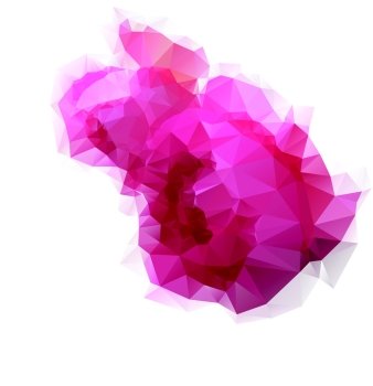 Low poly texture pink roses on white backdrop