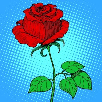 Rose red flower pop art retro style. Rose red flower