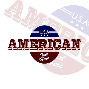 america emblem graphic art vector illustration design. america emblem