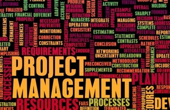 Project Management or a Project Manager as Concept
