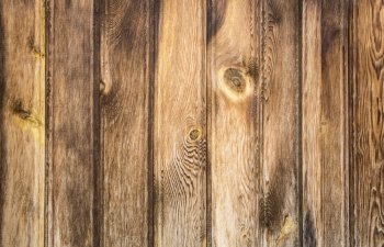 Wooden texture  close up background