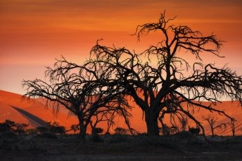 Sunset in the Namib Desert at Sossusvlei in Namibia