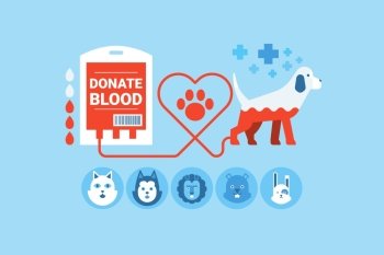 Illustration of dogs blood donation flat design concept with icons elements
