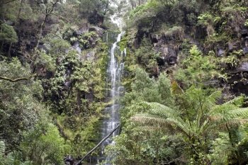 The Erskine falls in The Otways near Lorne, Great Ocean Road, Australia, drop 30 metres in to the fern-lined valley of the Erskine River.