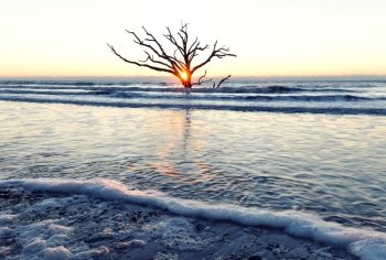 Sunrise at Botany Bay beach, Edisto Island, South Carolina, USA