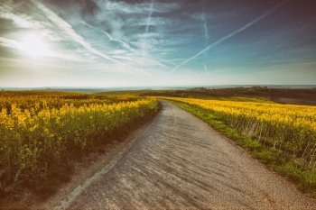Vintage image of road through beautiful yellow fields