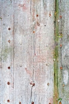 Distress Weathered Wooden Texture For Your Design.