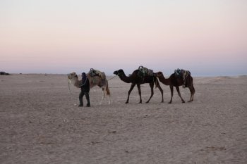 Morning in Sahara desert