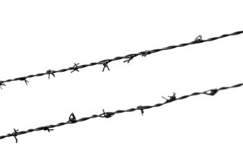 barbed wires on white background. The concept of the refugees