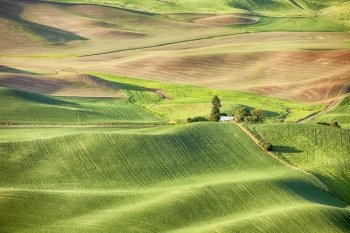 A farm and farmhouse in the middle of the Palouse area of Washington State showcase the rolling hills covered with wheat and grain fields.