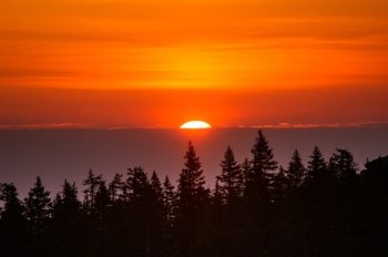 the solar disk rises on the horizon over the trees