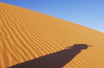 Shadow on Sand Dune