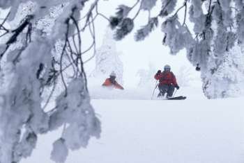 Ski Patrollers Through Trees