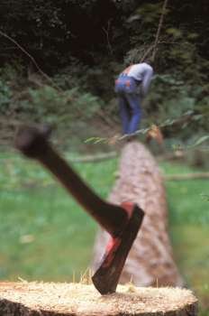Lumberjack with Hatchet in Foreground