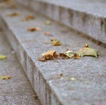Autumn Leaves On Cement Steps