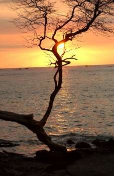 Big Island of Hawaii - sunset from beach