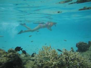 Underwater view of a young woman swimming wearing scuba gear, Moorea, Tahiti, French Polynesia, South Pacific
