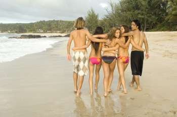 Rear view of five people walking on the beach