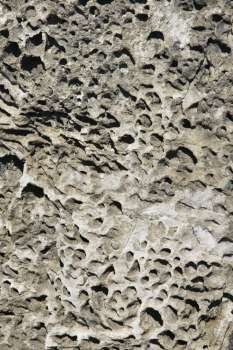Close-up of rock formation texture in Maui, Hawaii, USA.