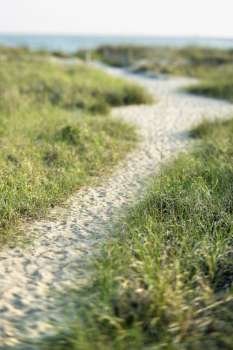 Sandy pathway to beach on Bald Head Island, North Carolina.