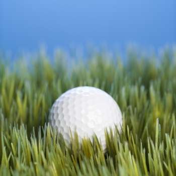 Studio shot of golfball resting in grass.