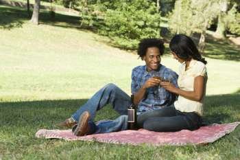Couple having romantic picnic in park toasting wine.