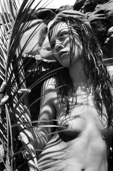 Close up of young nude multiethnic woman holding onto palm frond.