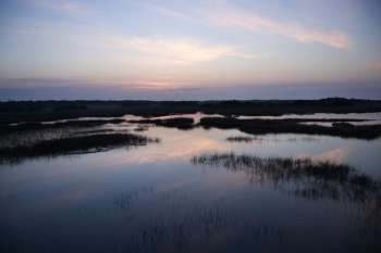 Sky reflecting in water in marsh area on Bald Head Island, North Carolina.