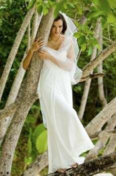 Bride In Tree