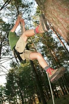 Treee climbing