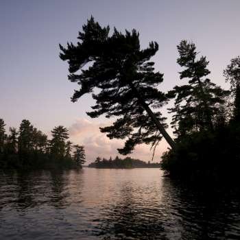 Lakescape with trees in sunset light, Ontario, Canada