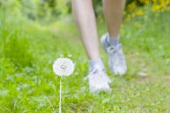 Feet of a running woman in green grass - focus on the blowball in the foreground 