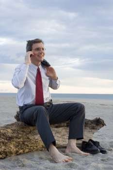 Smiling businessman making a phone call on a beach while sitting on an old tree trunk 