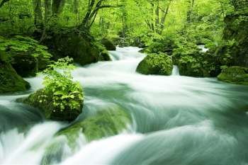 Long exposure fast flowing river