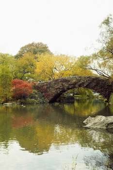 Reflection of a footbridge and trees in water, Central Park, Manhattan, New York City, New York State, USA