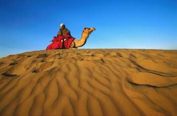 Low angle view of a mid adult man riding a camel in a desert, Rajasthan, India