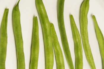 Close-up of runner beans