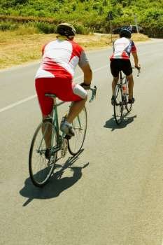 Rear view of two cyclists on the road, Siena Province, Tuscany, Italy