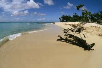 Scenic beach, Buck Island, St. Croix, U.S. Virgin Islands