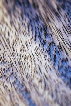 Close-up of a textured pattern