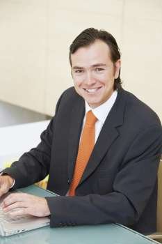 Portrait of a businessman using a laptop and smiling