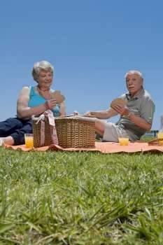 Senior couple playing cards at picnic