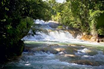 Waterfall in a forest, Agua Azul Waterfalls, Chiapas, Mexico