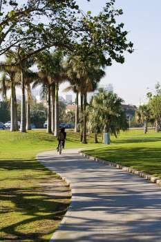 Rear view of a person cycling on a walkway, Miami, Florida, USA